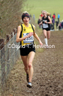 Womens under-20s, 2020 British Athletics Inter Counties Cross Country Champs., Prestwold Hall, Loughborough. Photo: David T. Hewitson/Sports for All Pics